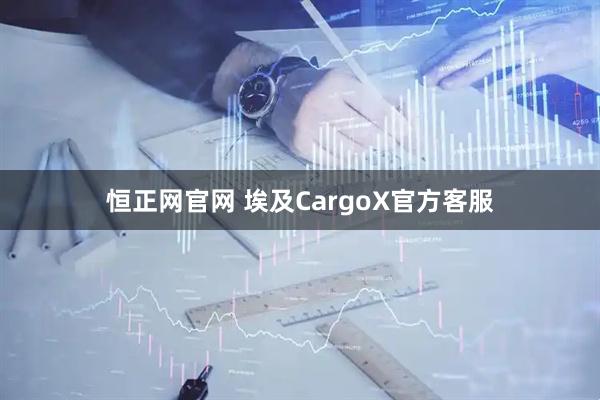 恒正网官网 埃及CargoX官方客服