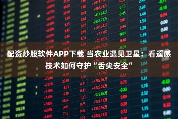 配资炒股软件APP下载 当农业遇见卫星：看遥感技术如何守护“舌尖安全”